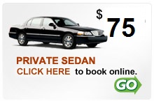 john f kennedy airport car service