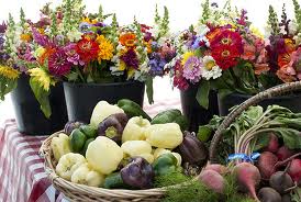 amagansett farmer market